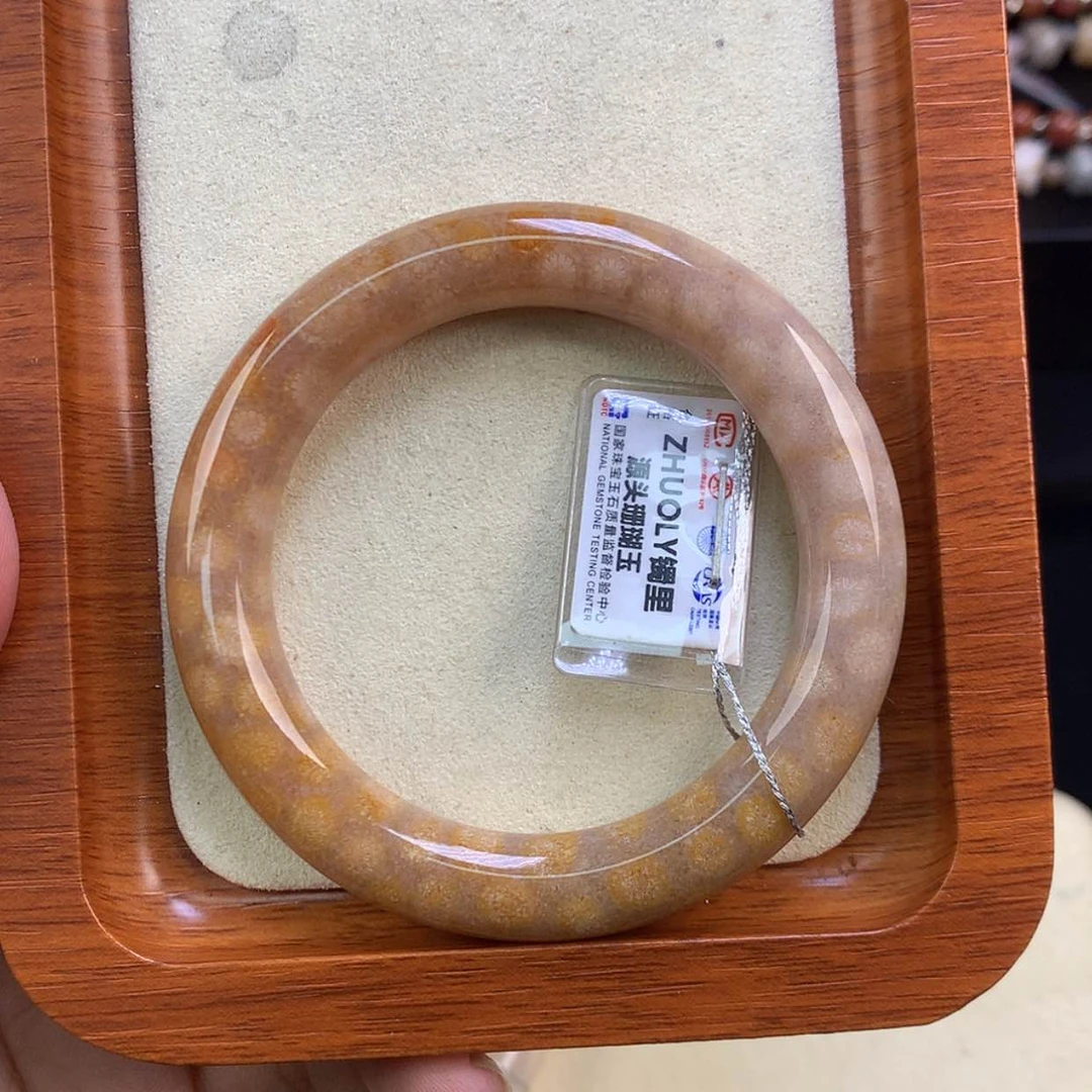 【闪购商品】颈饰未镶嵌硅化珊瑚（珊瑚玉）53号精美手镯51.4