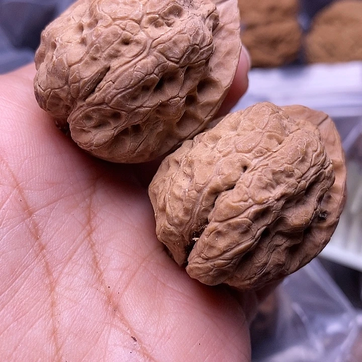 文玩核桃把件    100