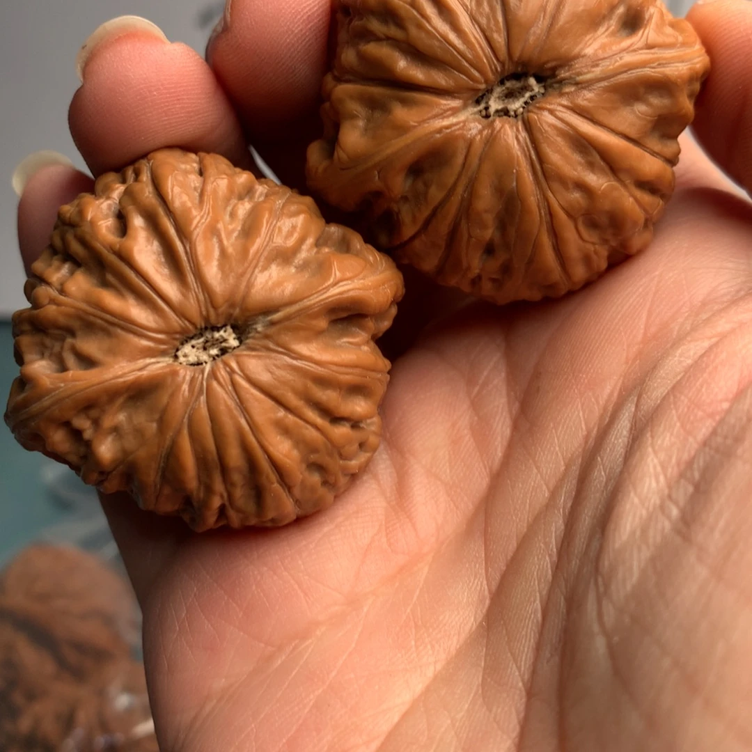 风***云铁锤3元的价还可以