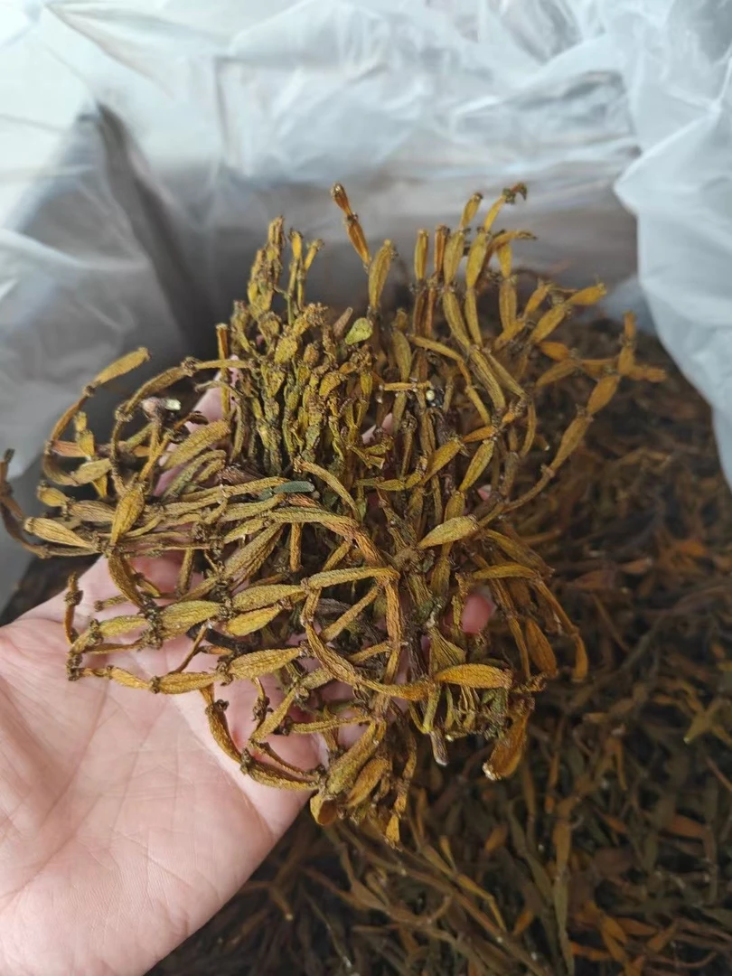 【7月13号】螃蟹脚茶 02