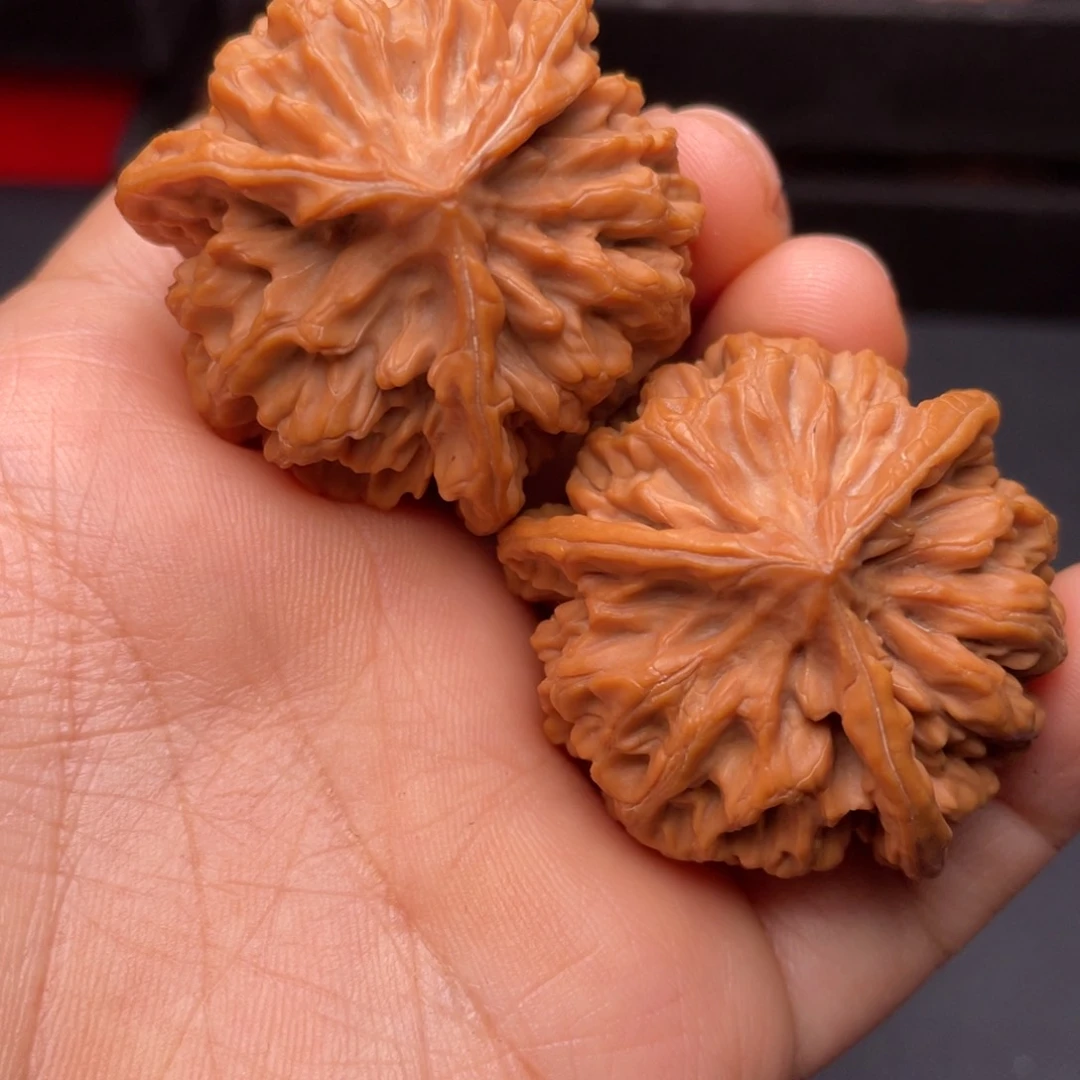 秦岭山脉文玩核桃