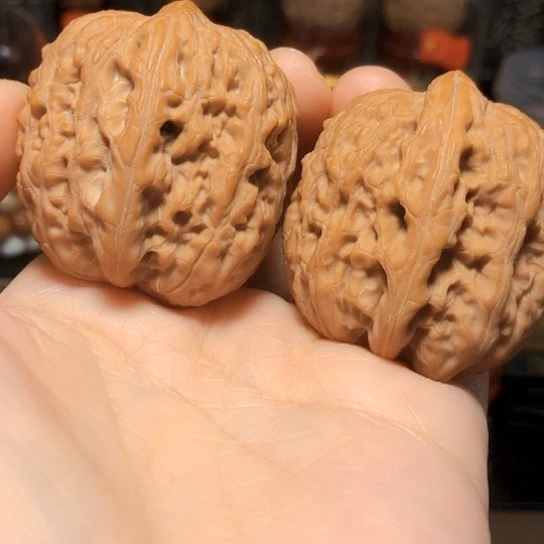 F***t精品野生：滚石货头