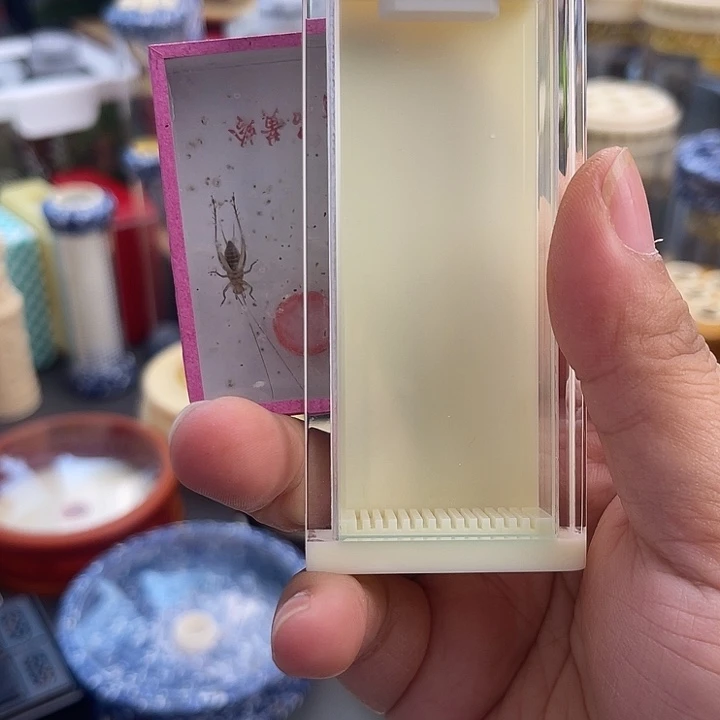有机黄龄盒➕虫啊啊啊啊