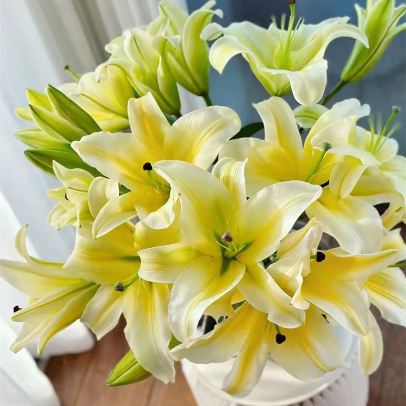 黄天霸单瓣黄色系香水百合【零度以下不拍保温棉不售后】鲜花