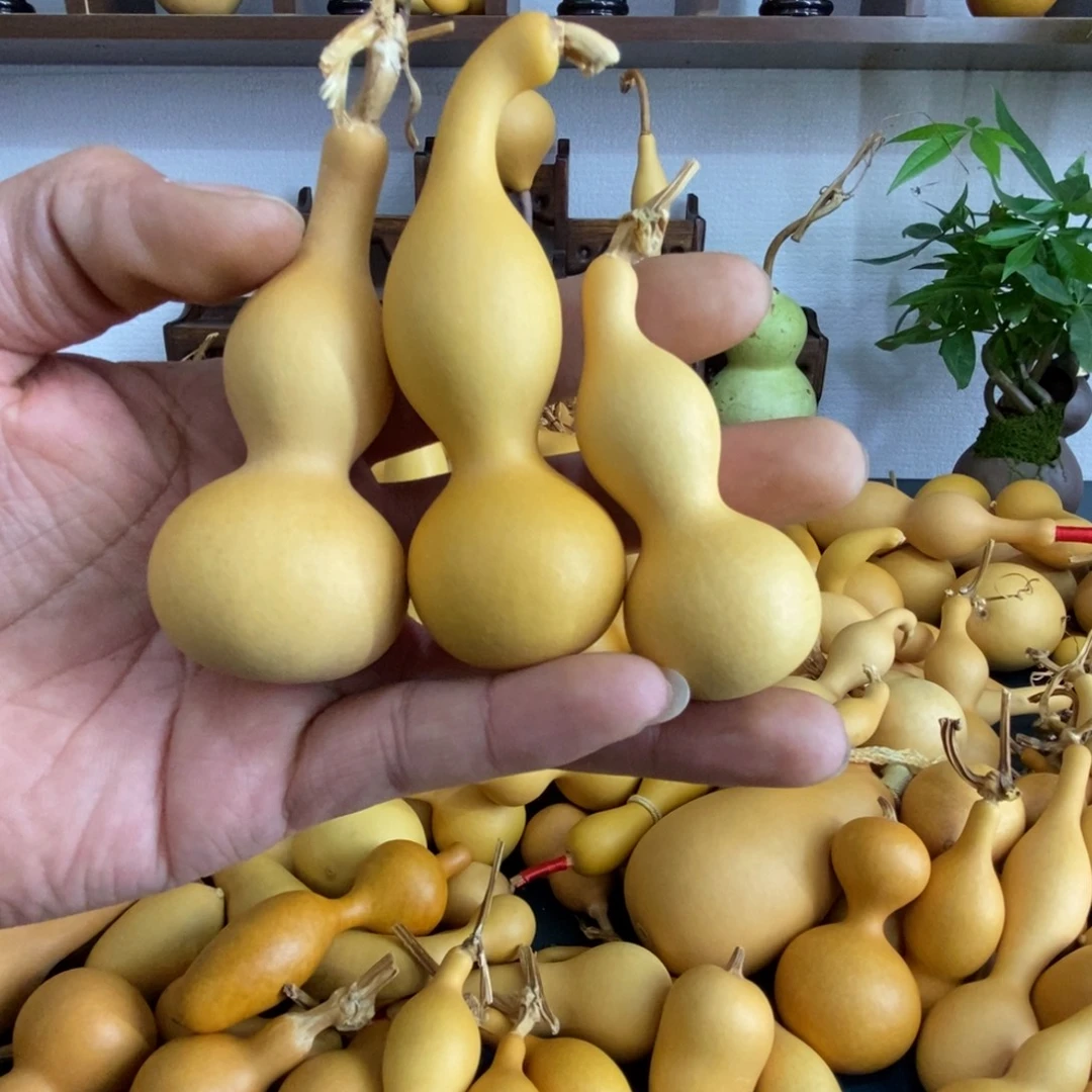延***）直播间链接，文玩葫芦