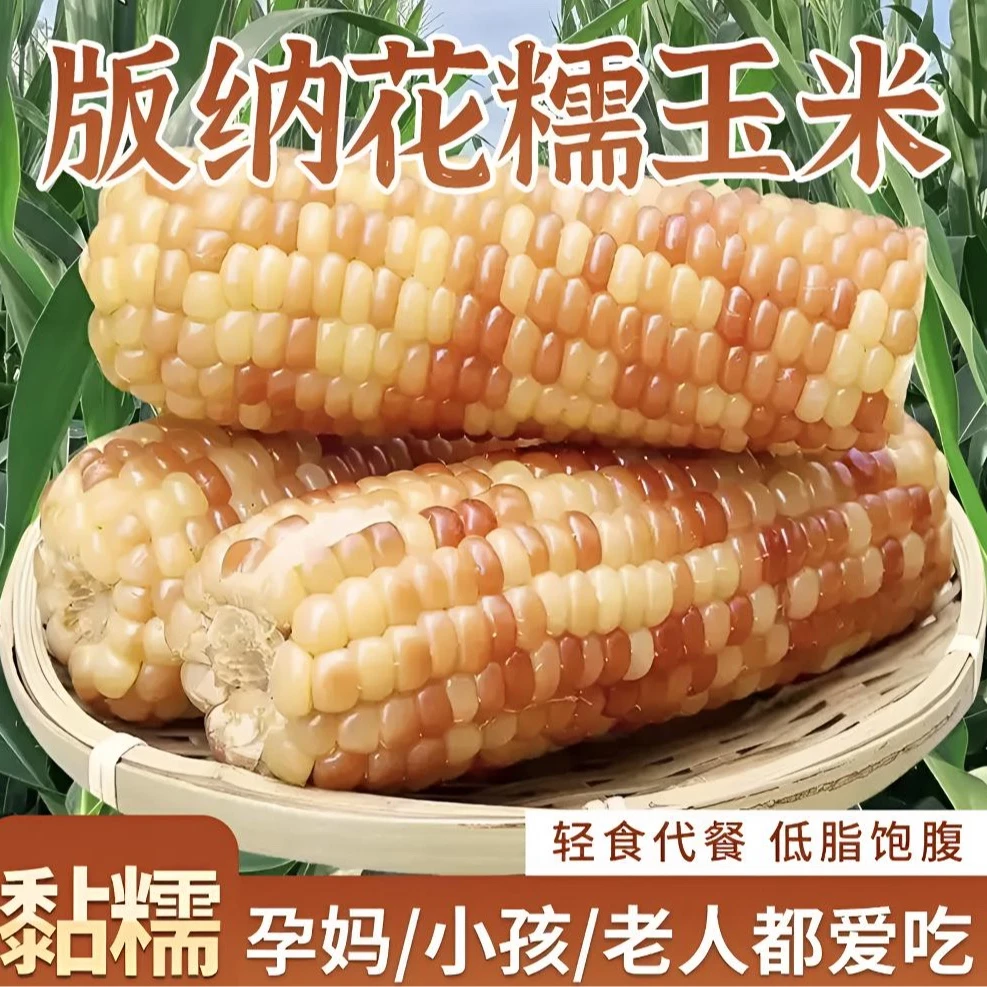 【特高品质】花糯香甜小玉米真空包装 新鲜黏糯代餐早餐