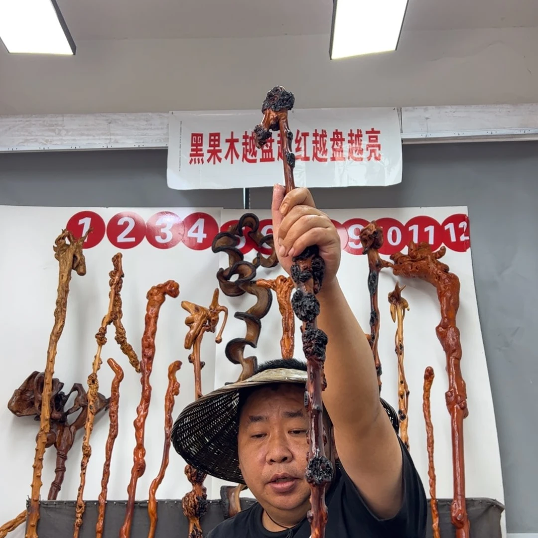 无***缘黑果木其他黑果木763
