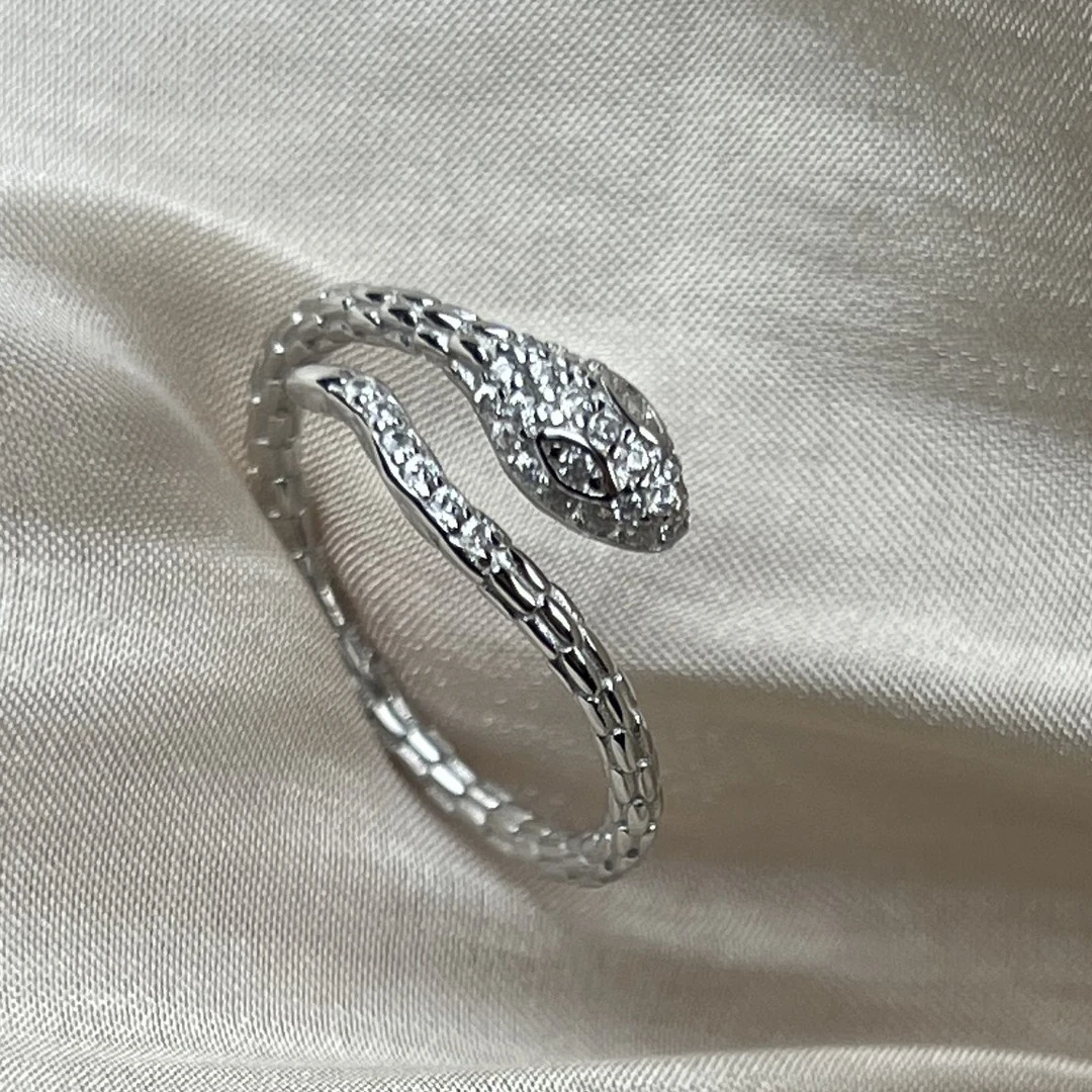 925银戒指 纯银925开口 灵蛇戒指高级感小众设计生肖指环蛇形戒