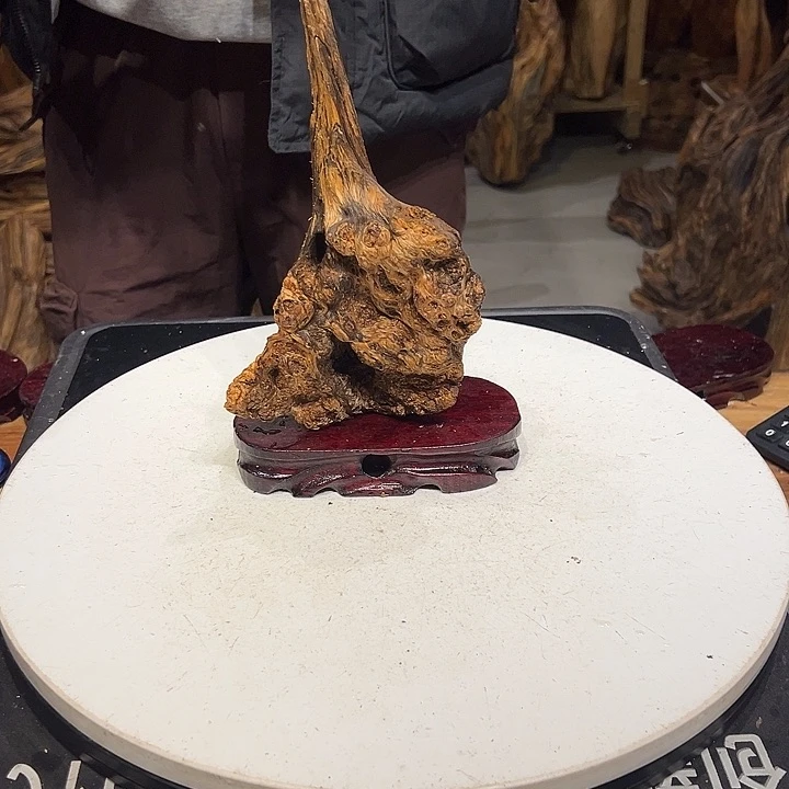 松木（琥珀木）强*