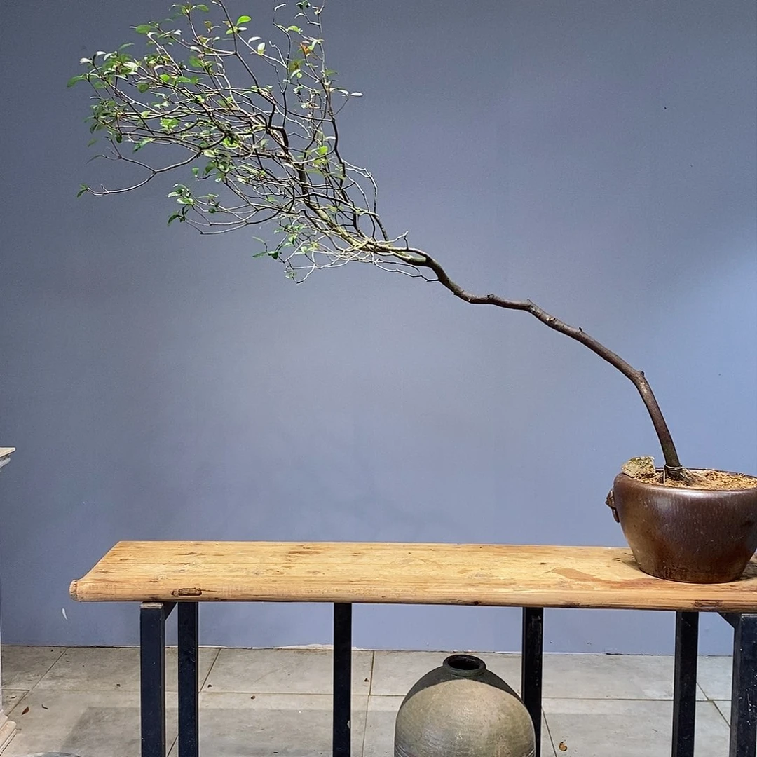 云**坡我的心好痛啊我的心真的好痛