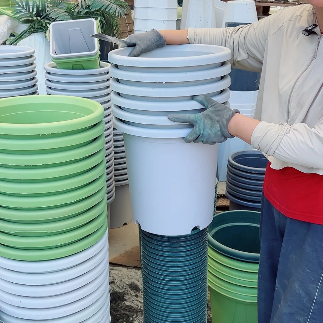 四季盆7#灰白色6个无托