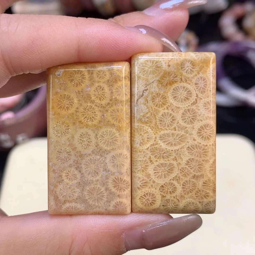 【闪购商品】颈饰未镶嵌硅化珊瑚（珊瑚玉）福利吊坠（16号）