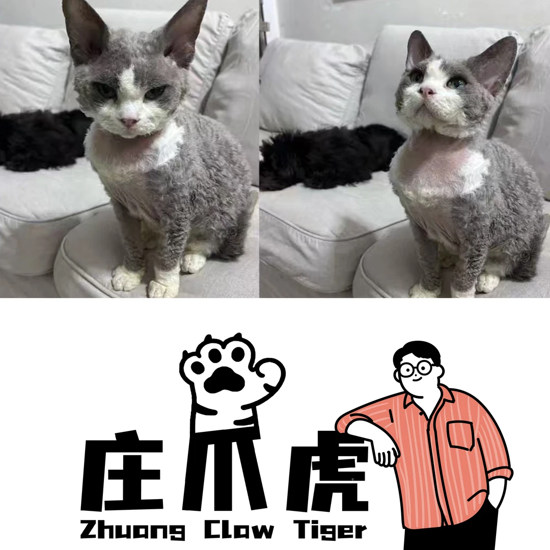 庄爪虎超级粉丝福利猫咪狗狗汤包冻干零食②号