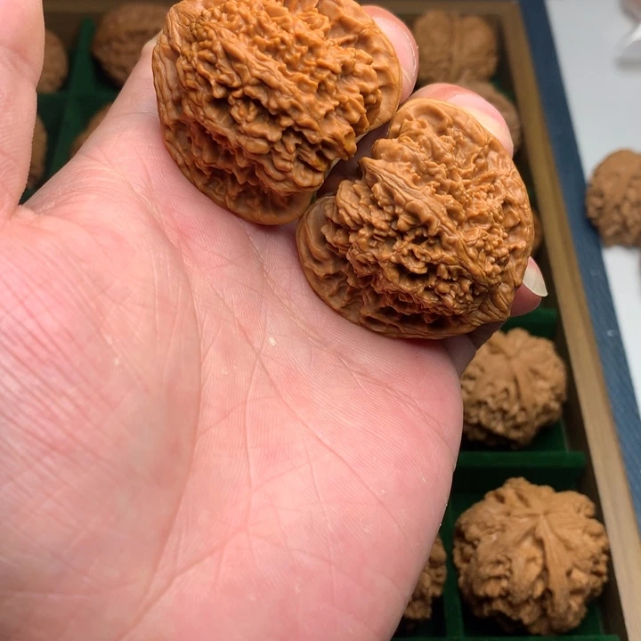 把件核桃41全品满天星