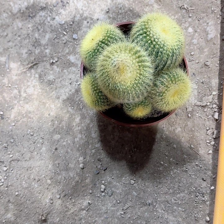 幸****哈哈哈哈哈哈哈哈哈哈