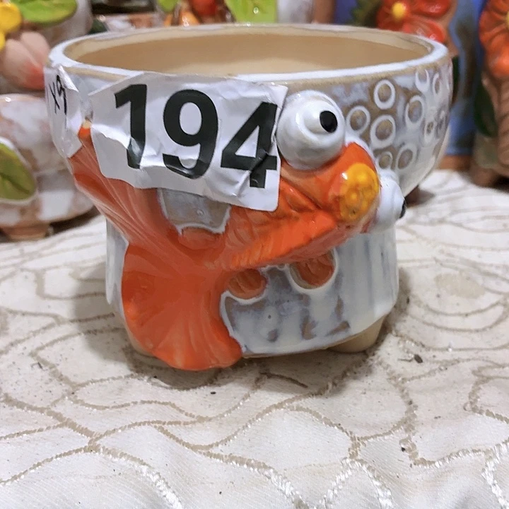 多肉花盆满15包邮