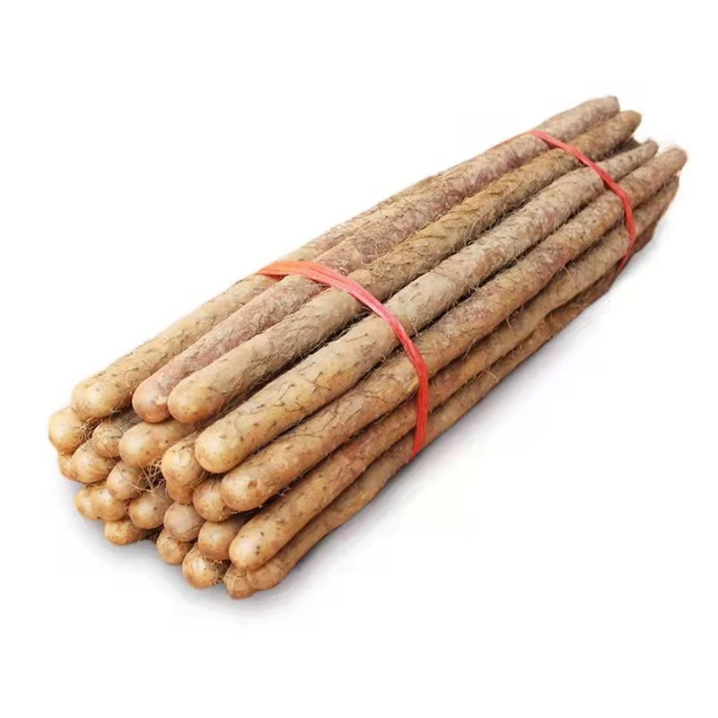 铁棍山药软糯香甜产地直发5斤装新鲜山药20-40cm