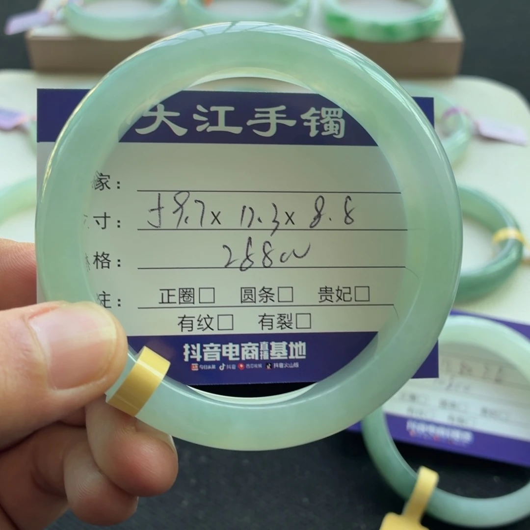 未镶嵌手镯翡翠