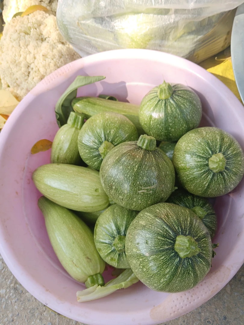 【农家自种】小圆瓜