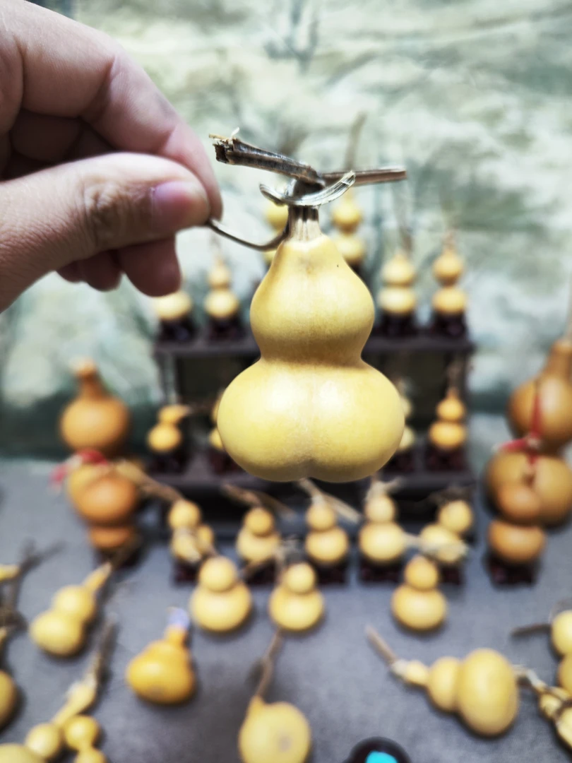 天然生成连体小美葫芦