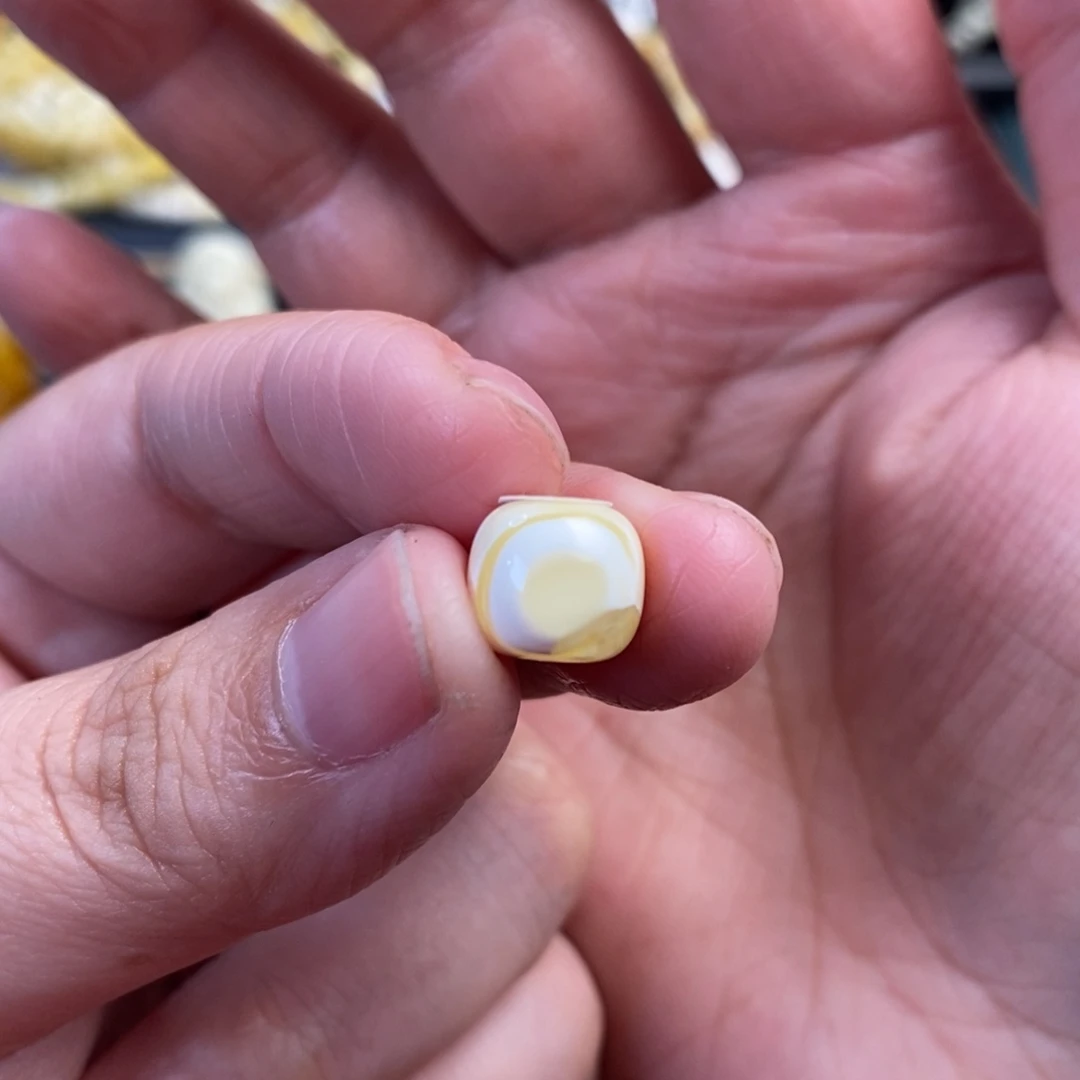 琥珀未镶嵌裸石金漆白溶洞天眼老型单珠9.5