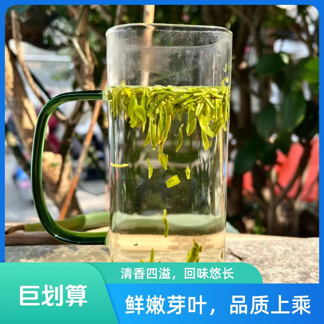 2025新茶蒙顶甘露绿茶茶片买一斤送半斤