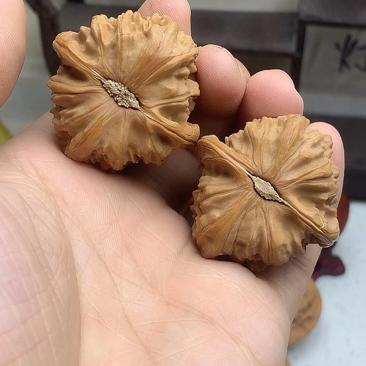 文玩核桃吊坠40 精修白狮子