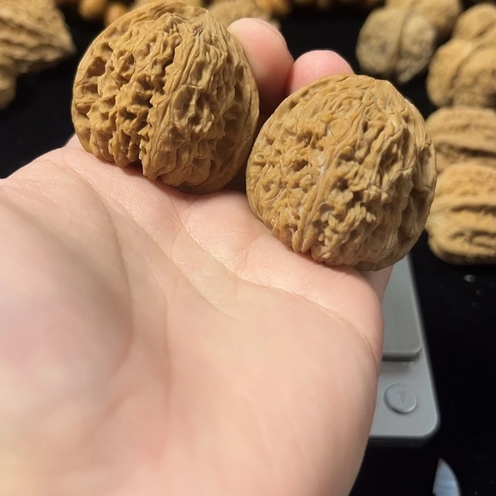 把件文玩核桃40左右南疆，编号018