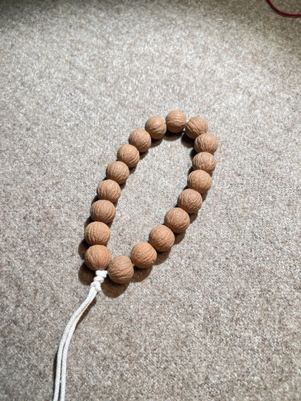 原皮原色凤羽14.5mm精挑