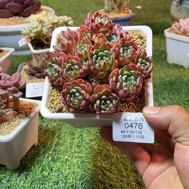 0476啊啊啊啊啊啊啊啊啊