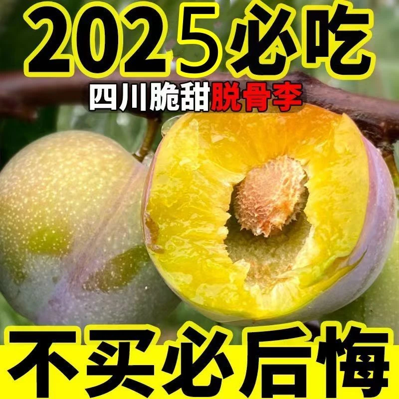 正宗四川脱骨李子新鲜水果空心半边红茵红李脱骨李包邮