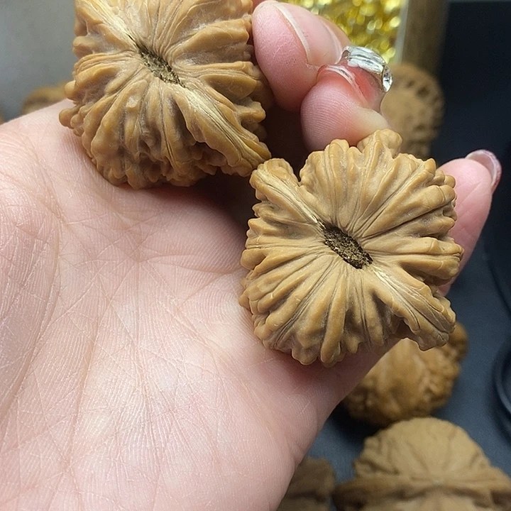 大叶紫檀（黑酸枝木类）南瓜楼42