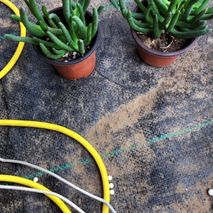 奔龙一物一拍116