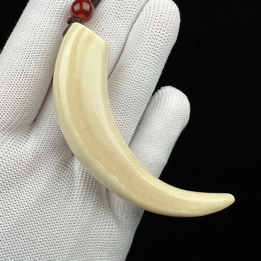 L2695天然猛犸牙 牙尖81mm支持鉴定 假一罚四
