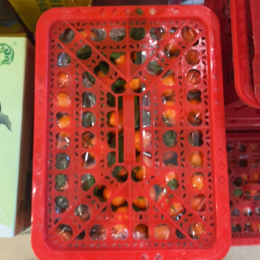 沙糖桔 箱装（毛10斤）