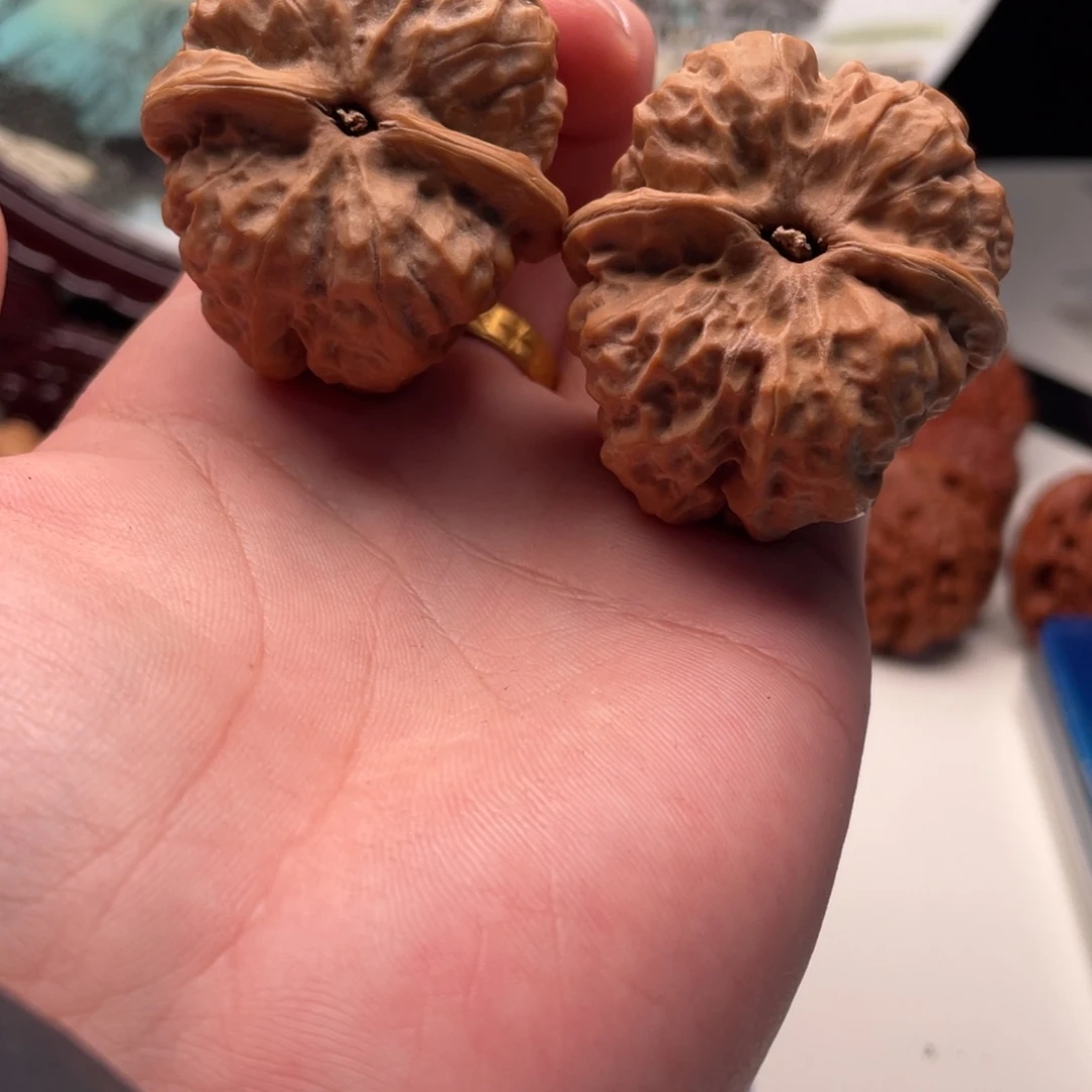 峰***峰核桃蛤蟆头文玩C13