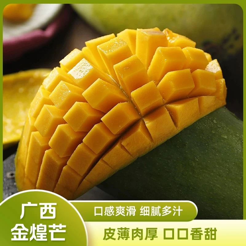 【生果发货 催熟食用】广西头茬新鲜金煌芒大果3-9斤装热带应季芒果