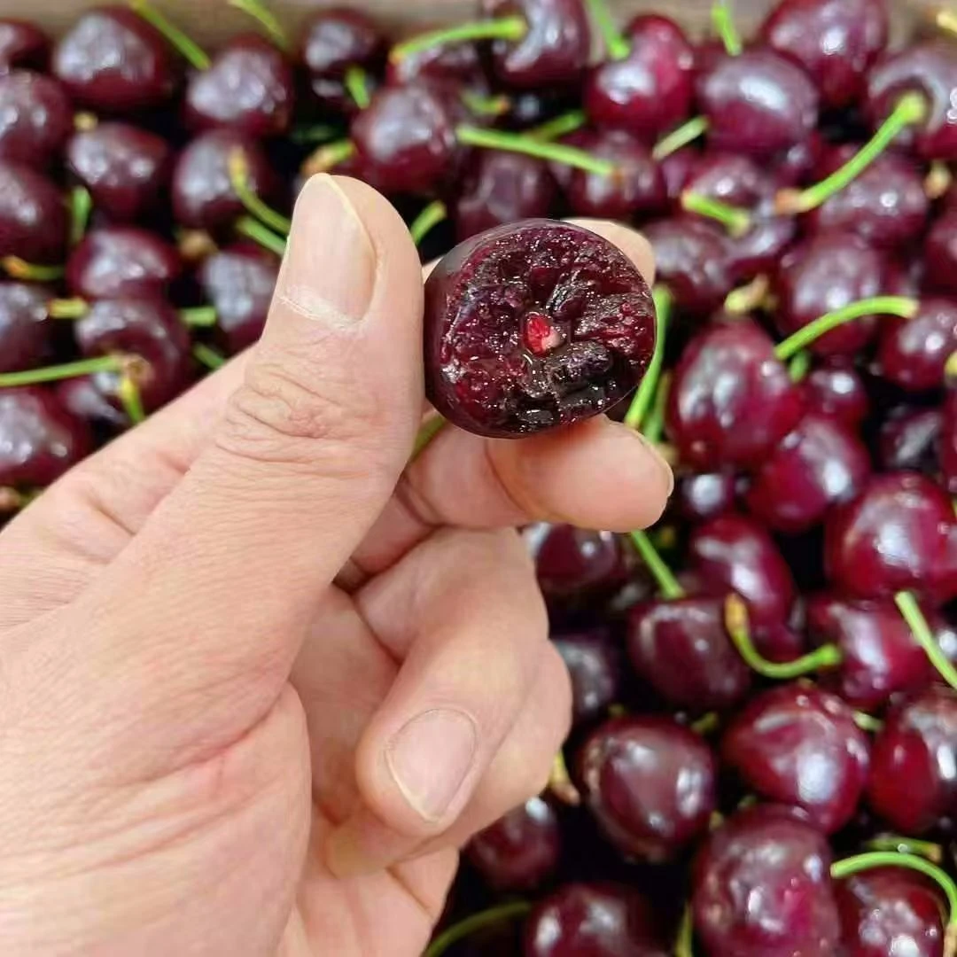 智利车厘子5斤3J海运智利