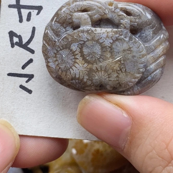 硅化珊瑚（珊瑚玉）未镶嵌颈饰