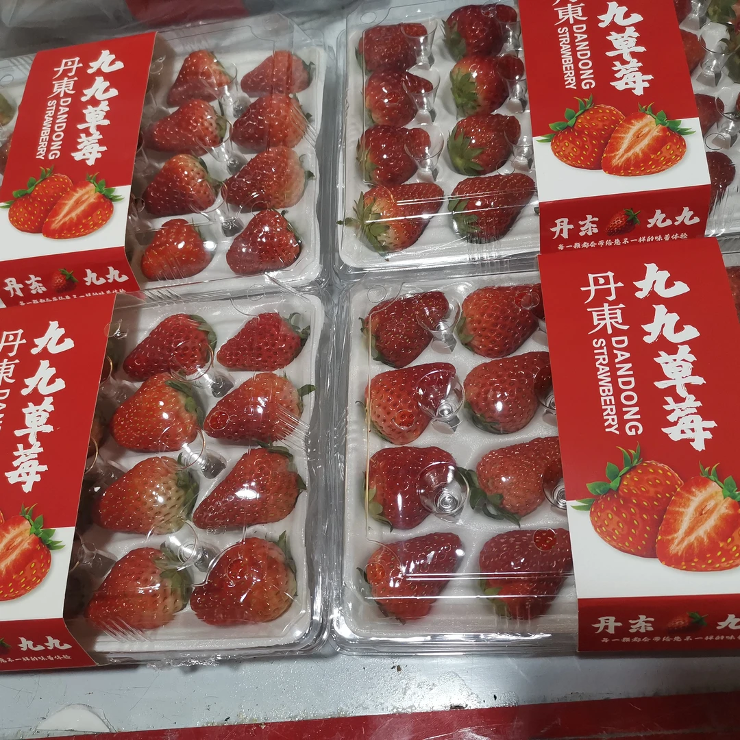 丹东九九草莓（小果小盒装）