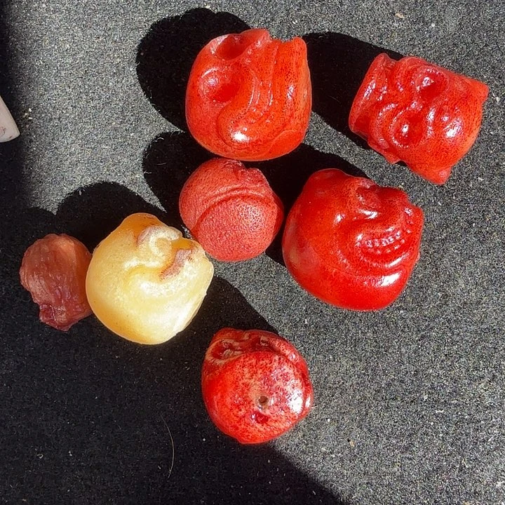 岁***好养殖鹿头骨制作三界牌