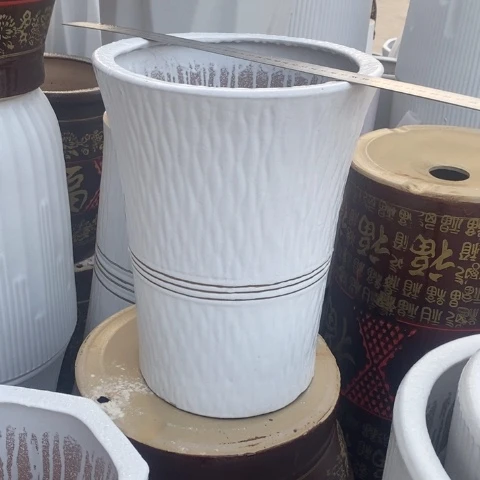 低腰白金腰线中号 口25/33