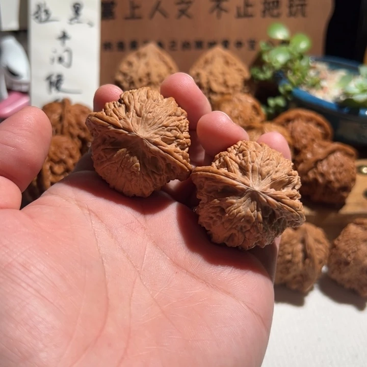 核桃全品无修 41 正磨