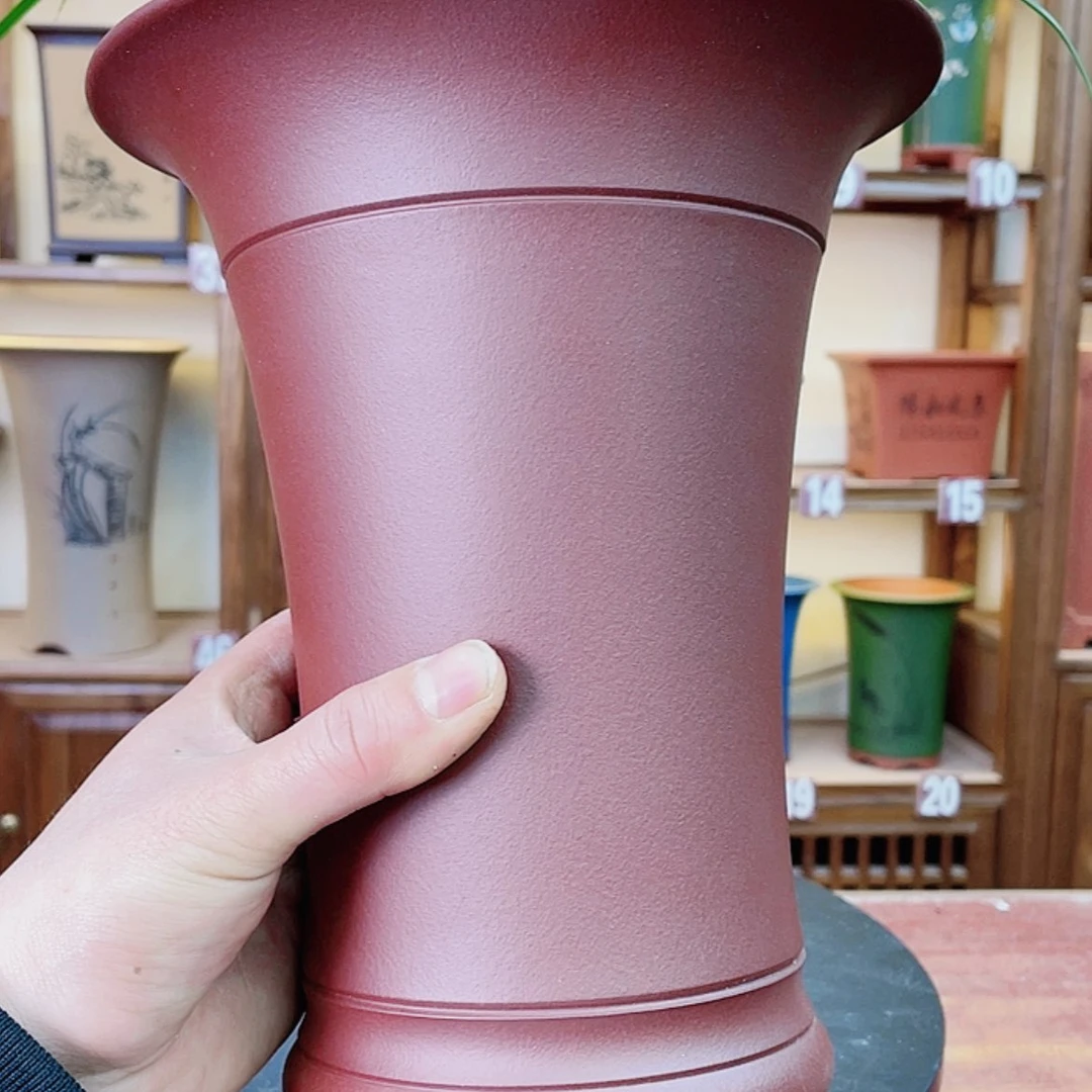 【闪购商品】紫砂花盆兰花72581125444445555