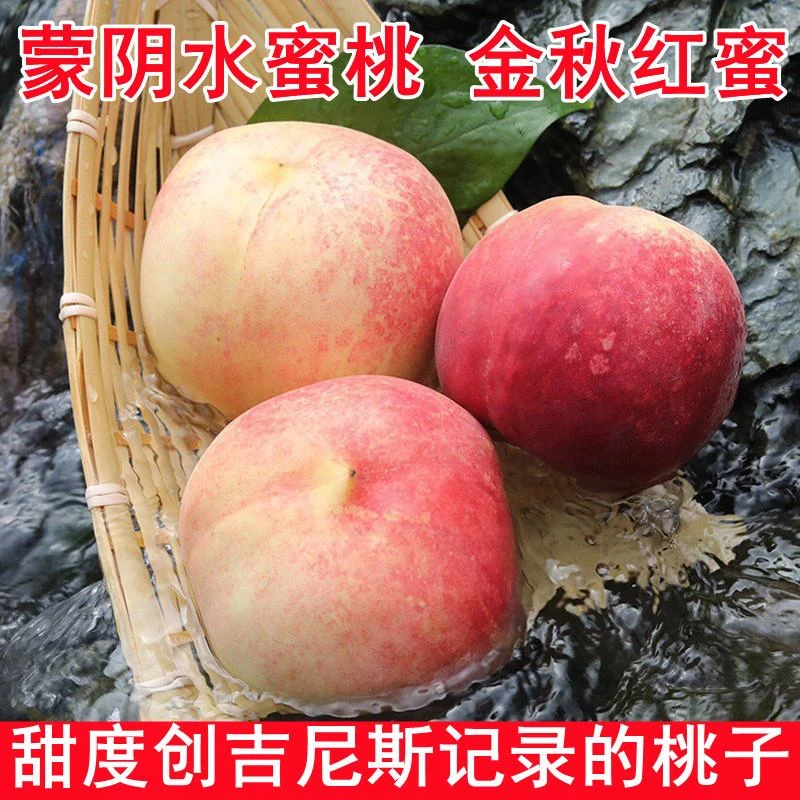 山东金秋红蜜桃蒙阴水蜜桃寒露蜜冬桃脆甜多汁当季新鲜水果晚桃子