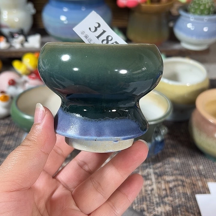 口6 非偏远满30包邮