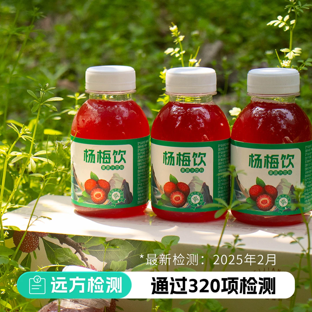 远方的梦想杨梅汁酸甜可口杨梅味浓郁248ml*8瓶多口味0色素0防腐