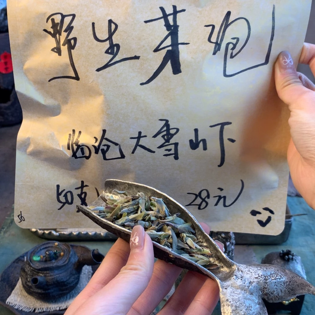 特价福利 芽孢茶50g 福利