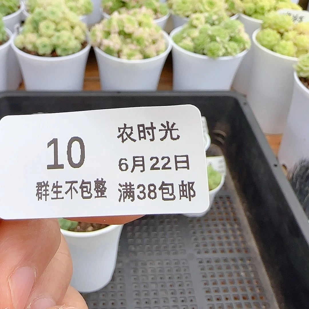 ****欢【闪购商品】0622-10专拍