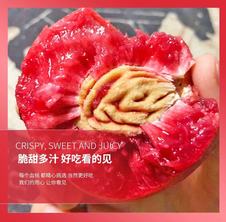 湖北老树血桃老品种胭脂红当季新鲜水果3/5斤装软糯果园现摘现发